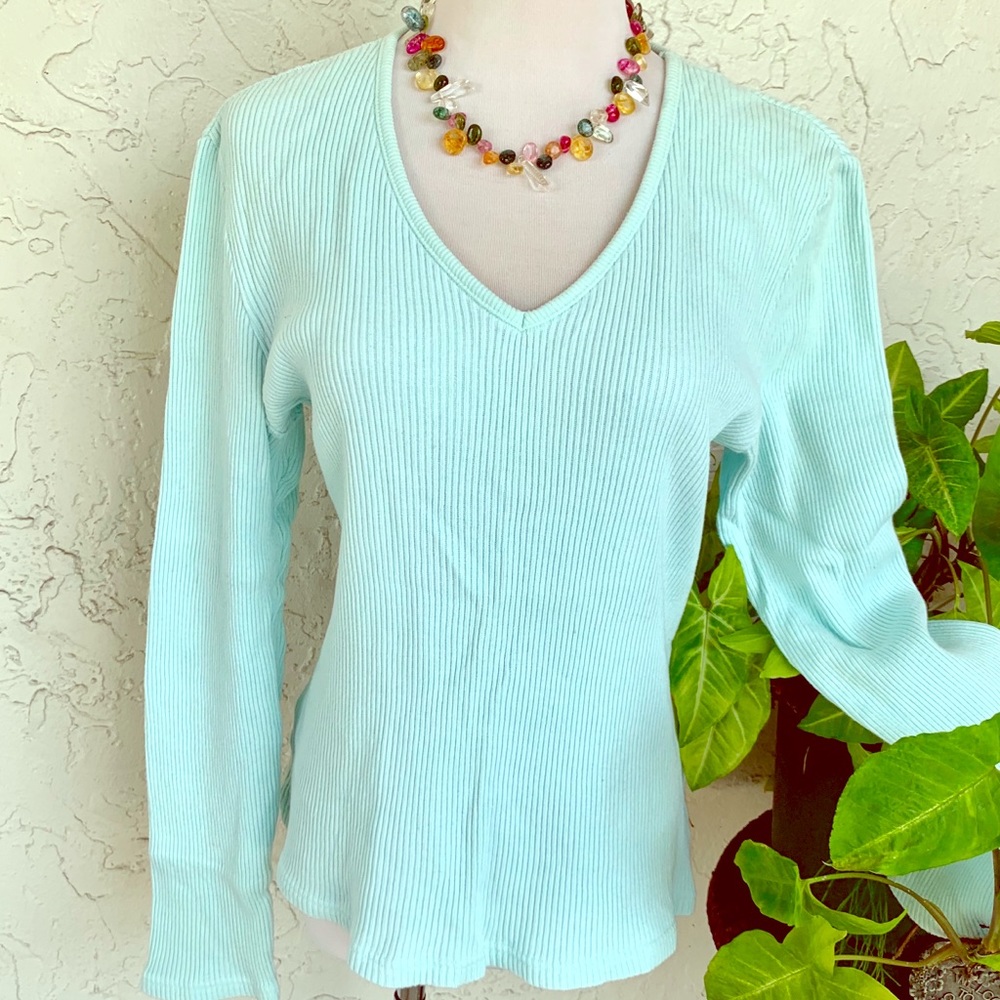 Comfy Cotton Baby Blue Ribbed Vert Knit LS V Top